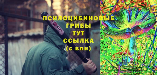 ГАЛЛЮЦИНОГЕННЫЕ ГРИБЫ Вязьма