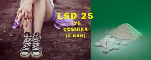 ГАЛЛЮЦИНОГЕННЫЕ ГРИБЫ Вязьма