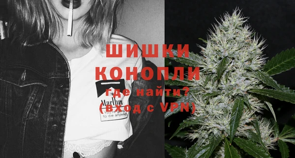 ГАЛЛЮЦИНОГЕННЫЕ ГРИБЫ Вязьма
