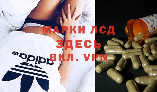 ГАЛЛЮЦИНОГЕННЫЕ ГРИБЫ Вязьма