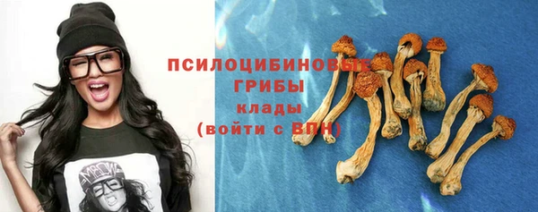 ГАЛЛЮЦИНОГЕННЫЕ ГРИБЫ Вязьма